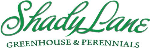 Logo for Shady Lane Greenhouses and Perennials